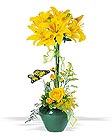 ������� ���������
